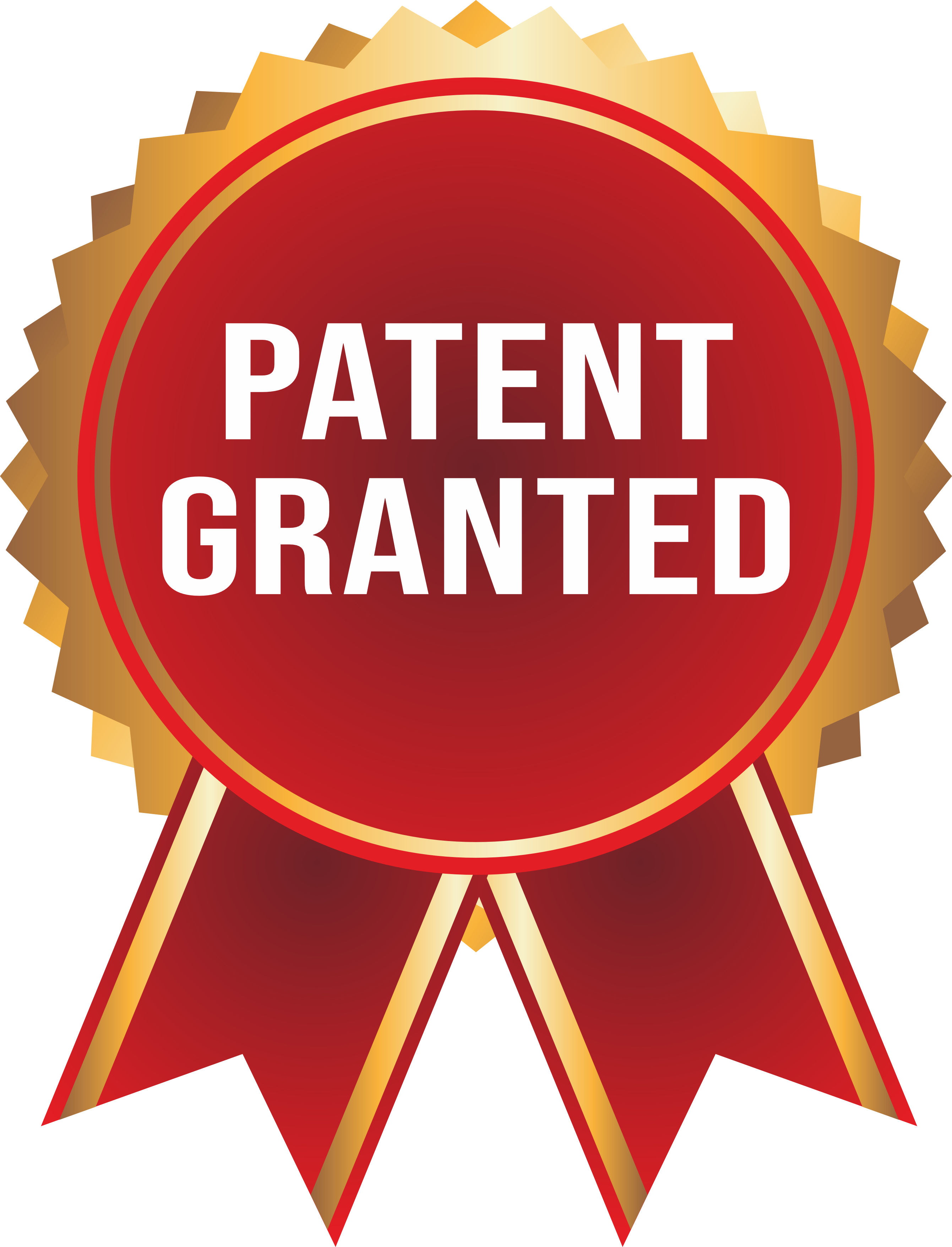 Patent Granted Logo